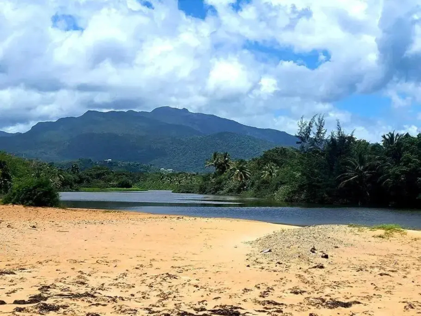 Peaceful ocean front home near Rainforest & rivers 102