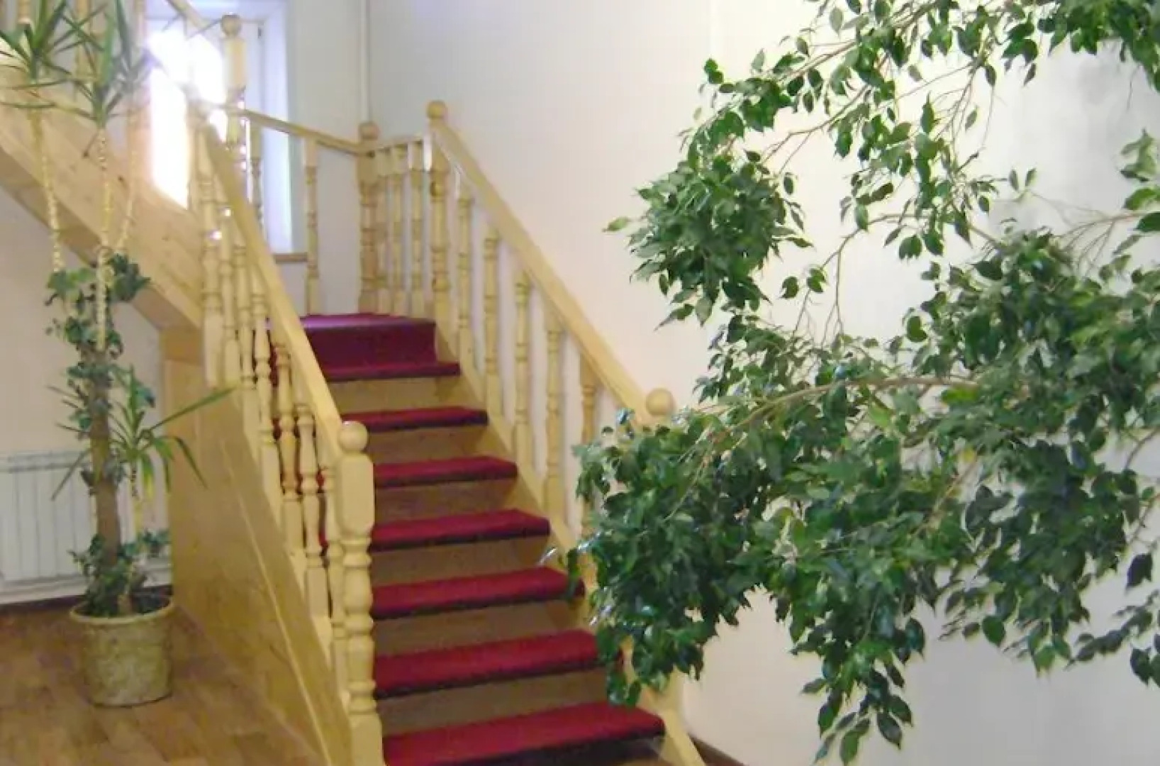 Отель Галчонок