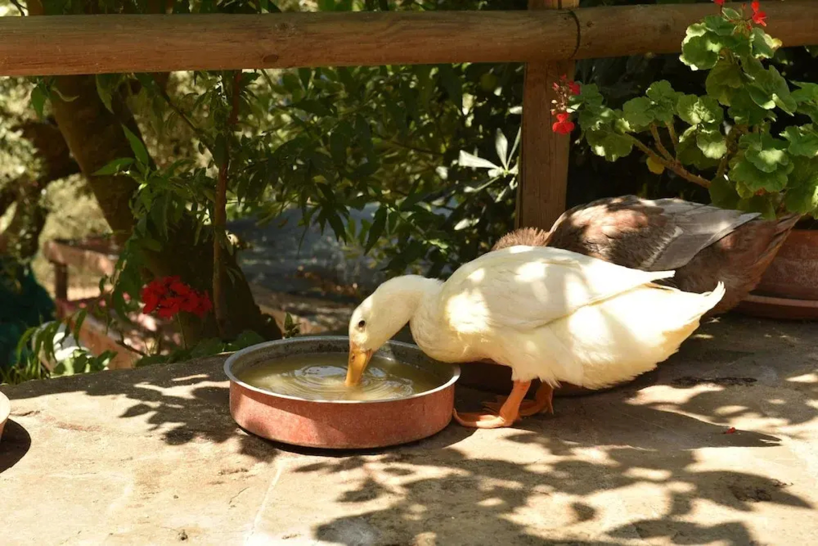 Agriturismo la lamia