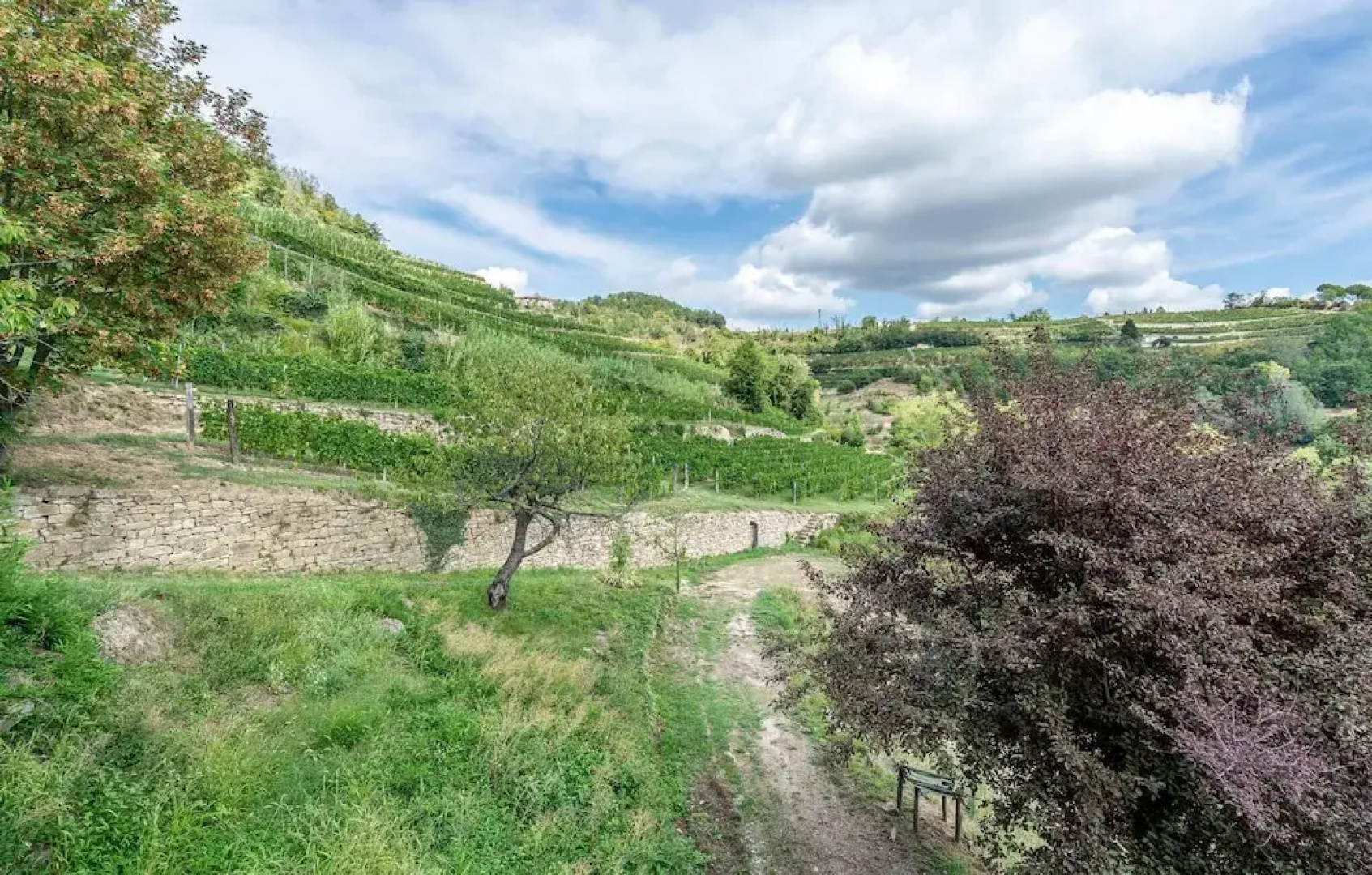 Stunning Home in Castino With Wifi and 4 Bedrooms