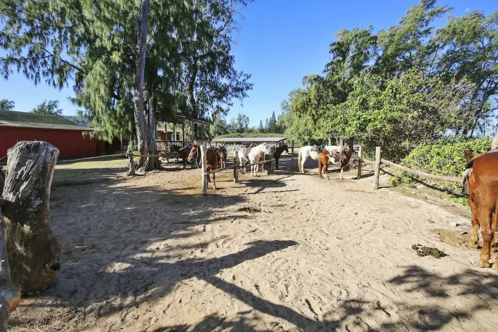 Turtle Bay Primrose***ta-016722124801 1 Bedroom Condo by RedAwning