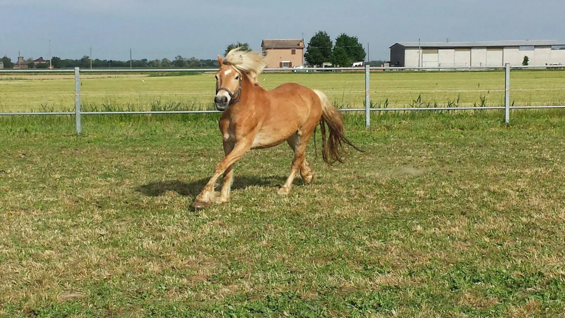 Tuscany Village Club - Ranch PratoSasso