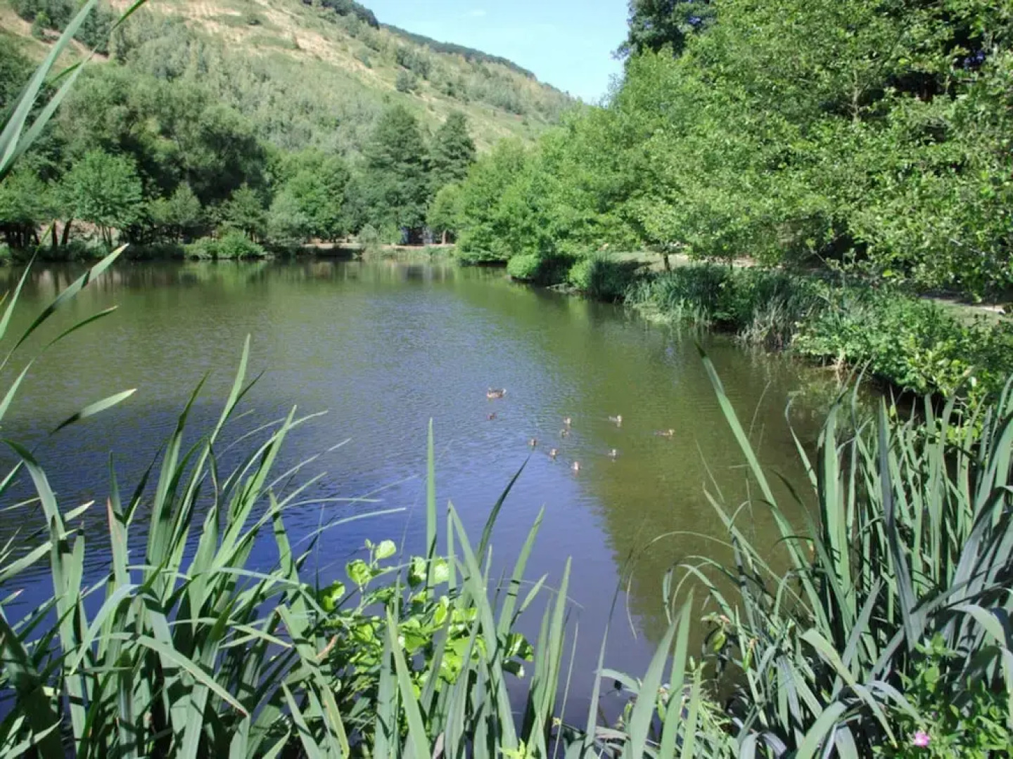 Holiday Apartment Magnolia