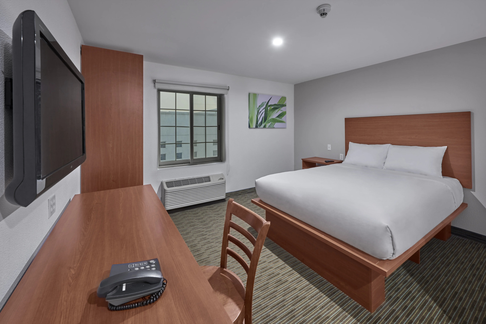 Extended Suites Coatzacoalcos Forum