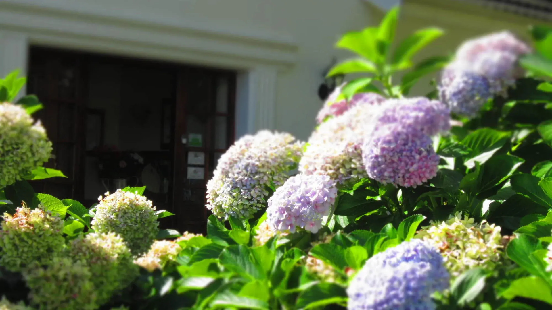 Aan de Oever Guesthouse