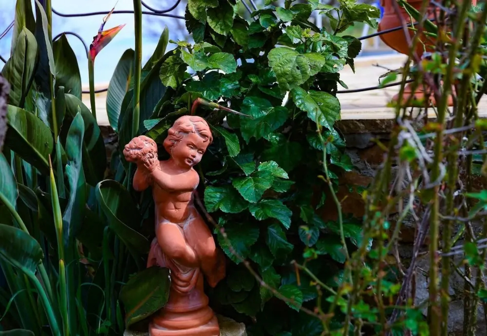 Easy Welcome Rosmarino - Cartolari Country Apartments