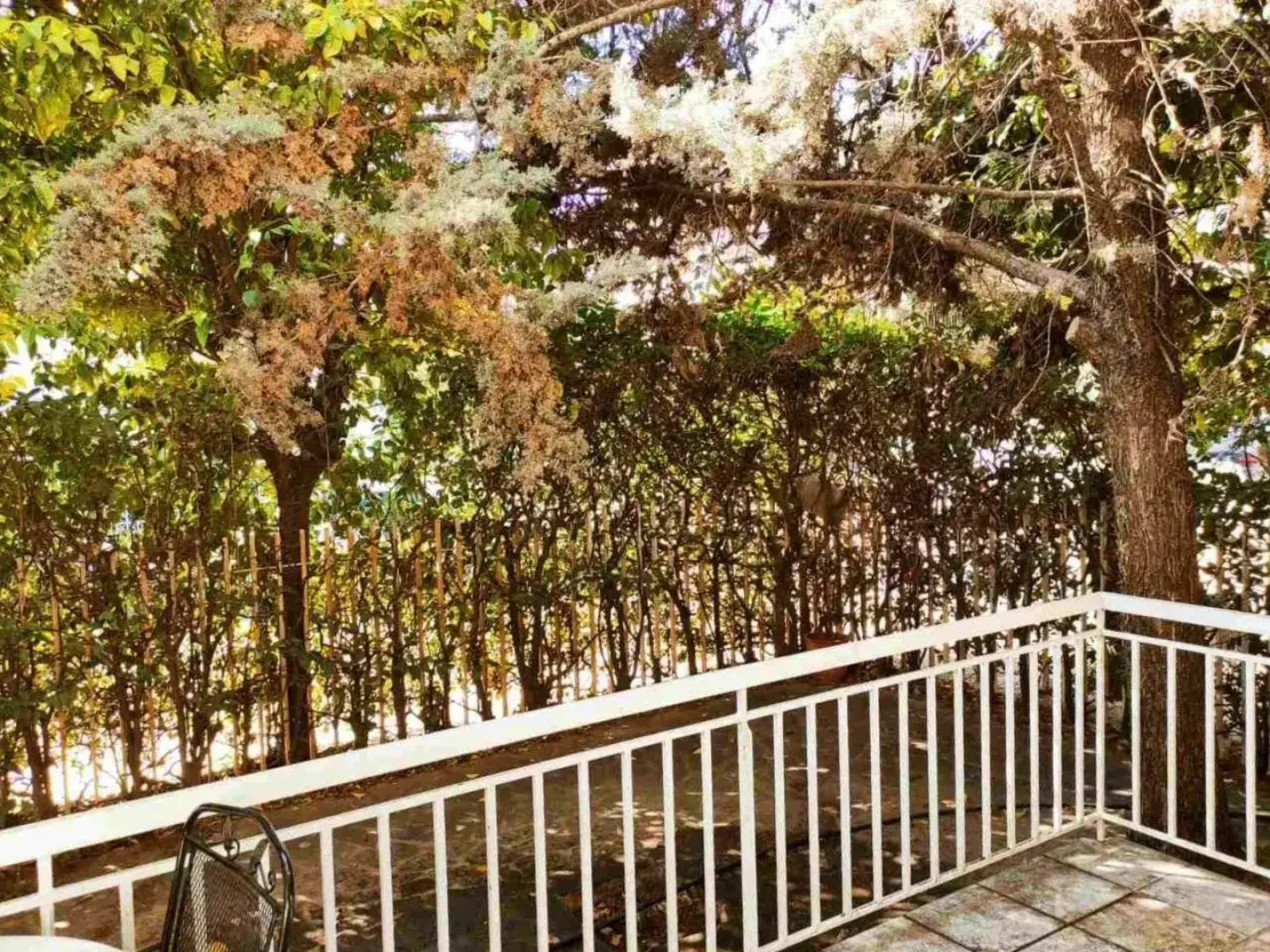 20' from the airport,20' from the center of Athens