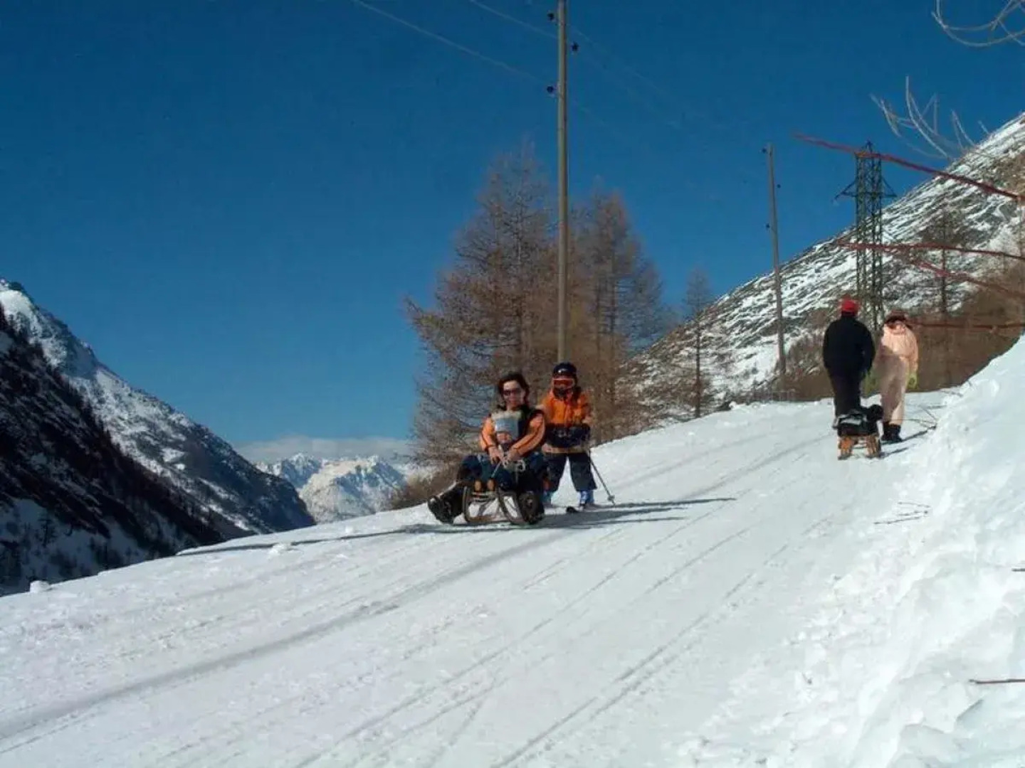 Haus Alpenrose 18518