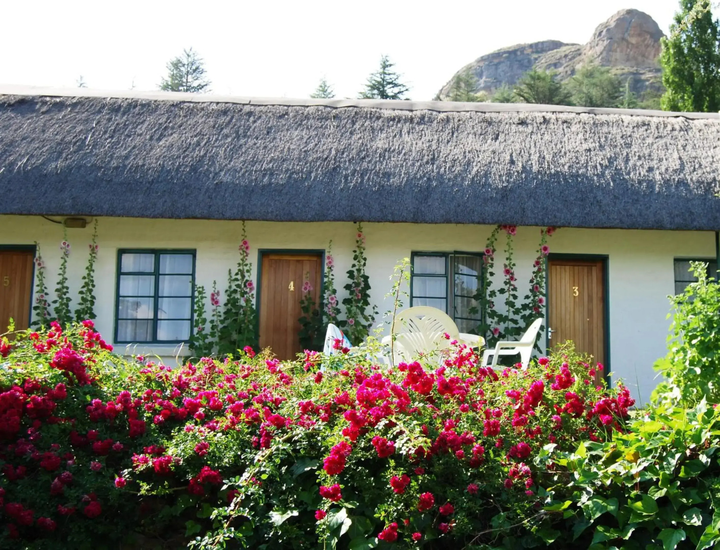 Wyndford Holiday Farm - All Inclusive