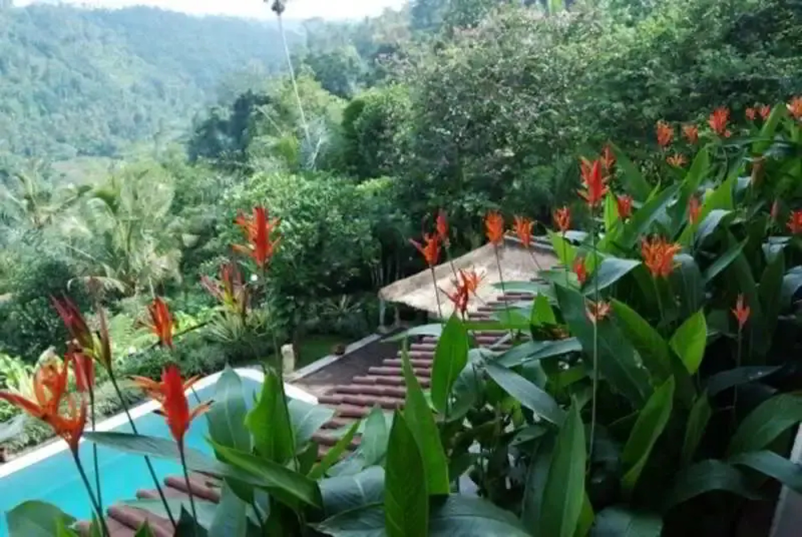 The Payangan Hideaway