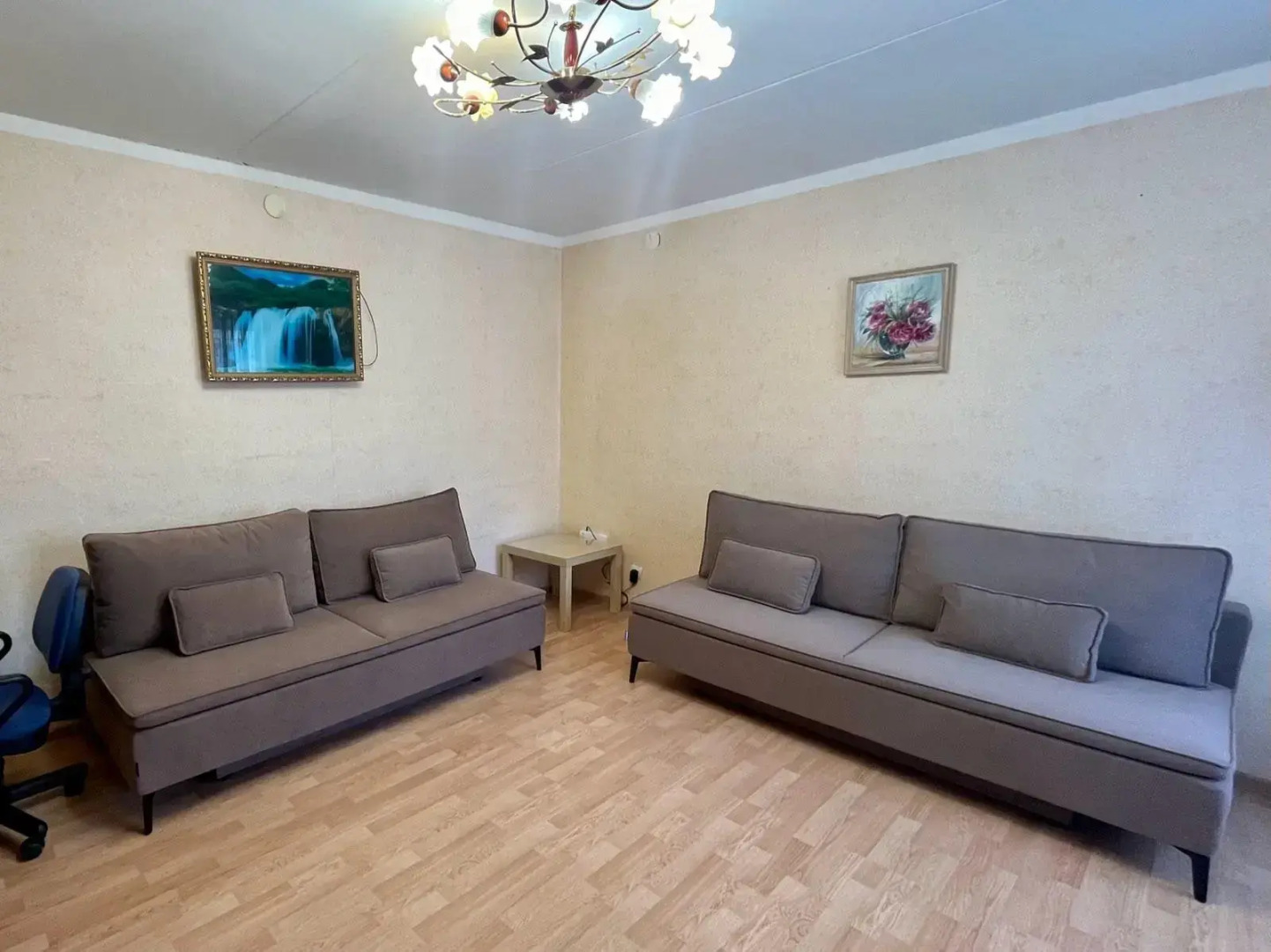 Барбарис на улице Льва Толстого