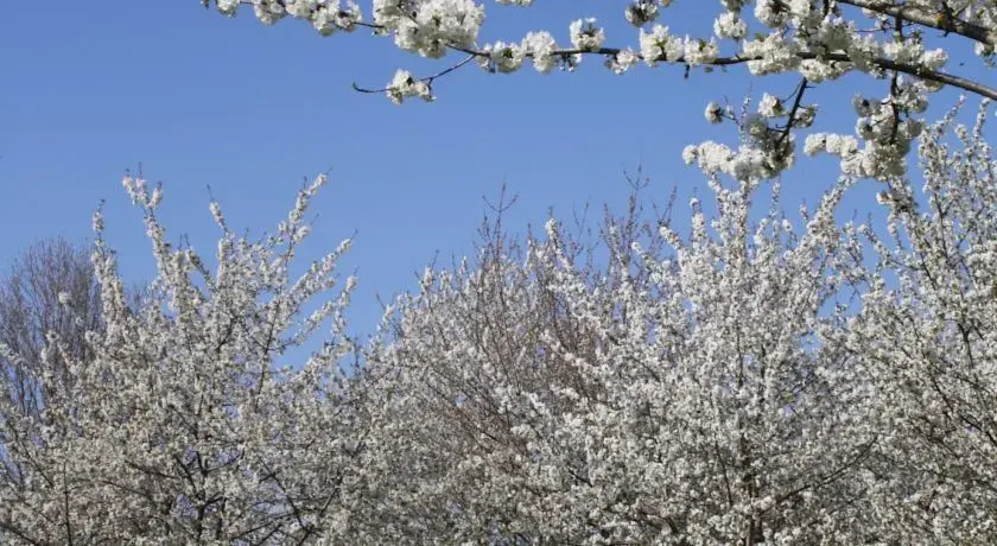 Agriturismo La Morla