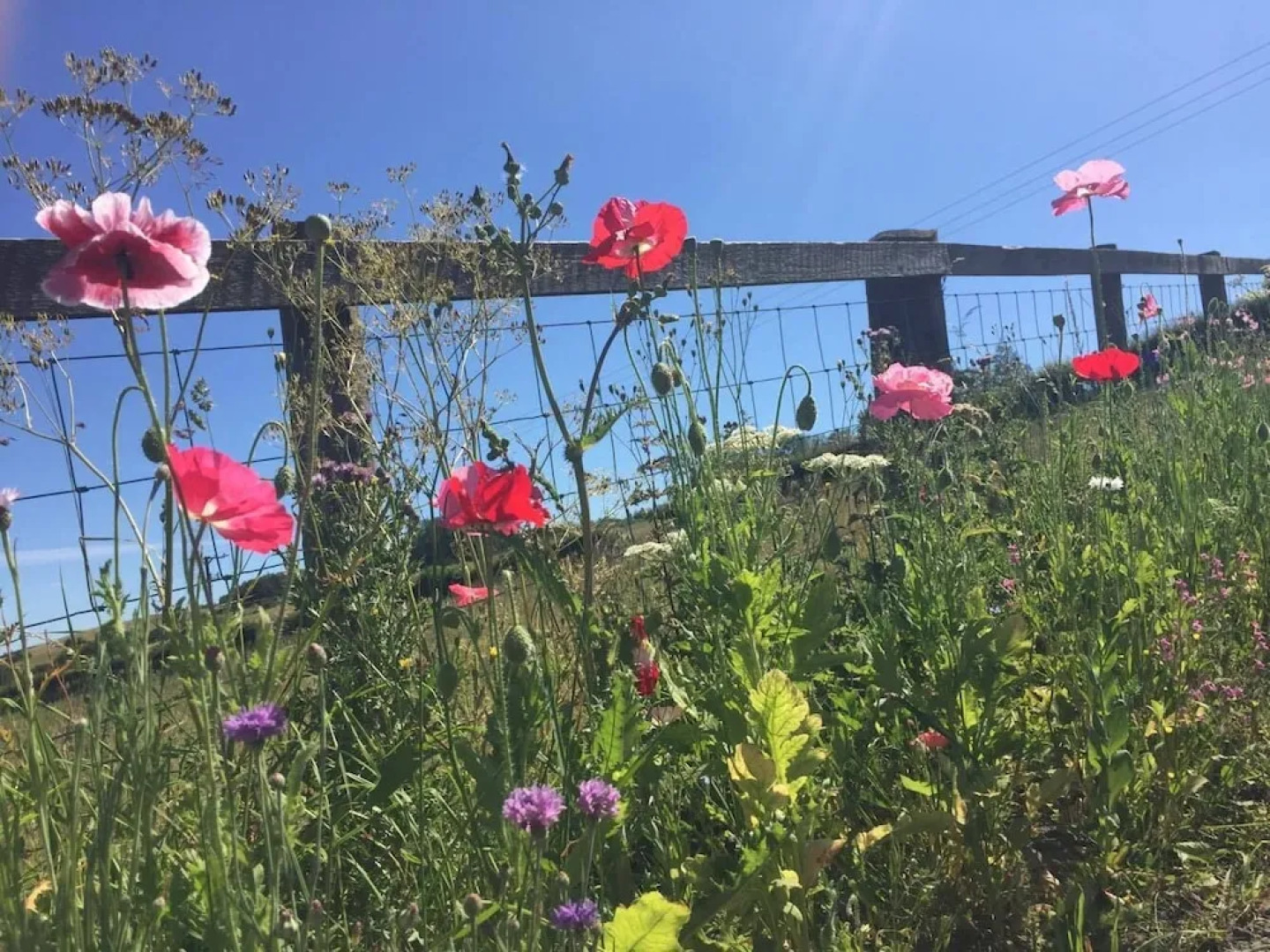 Islay @ Westcote Glamping-Campsite