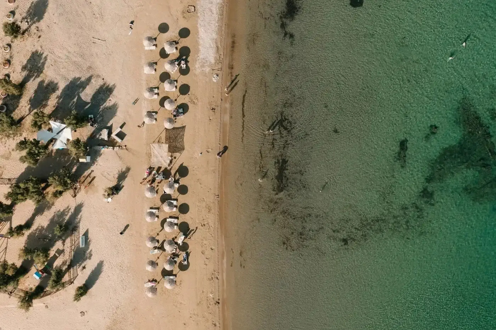 Filanthi The Project