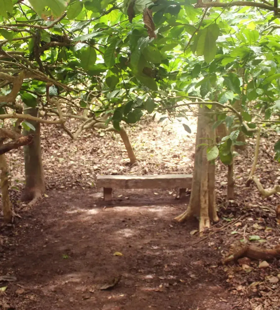 Salaams Raama Heritage Eco Village