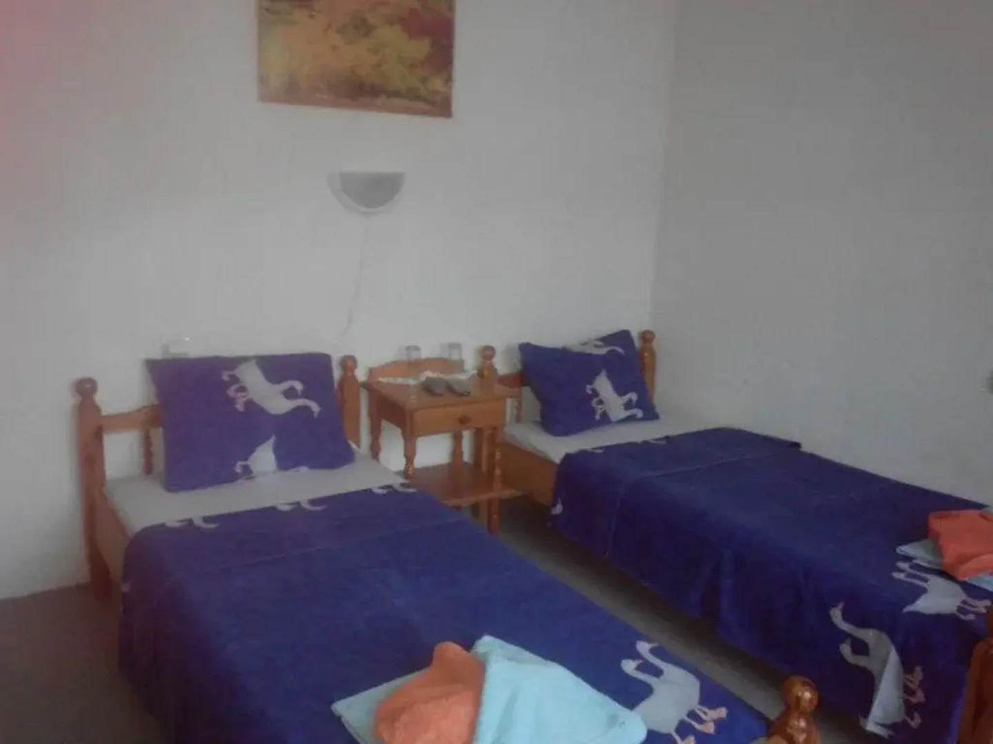 Veselata Guest House