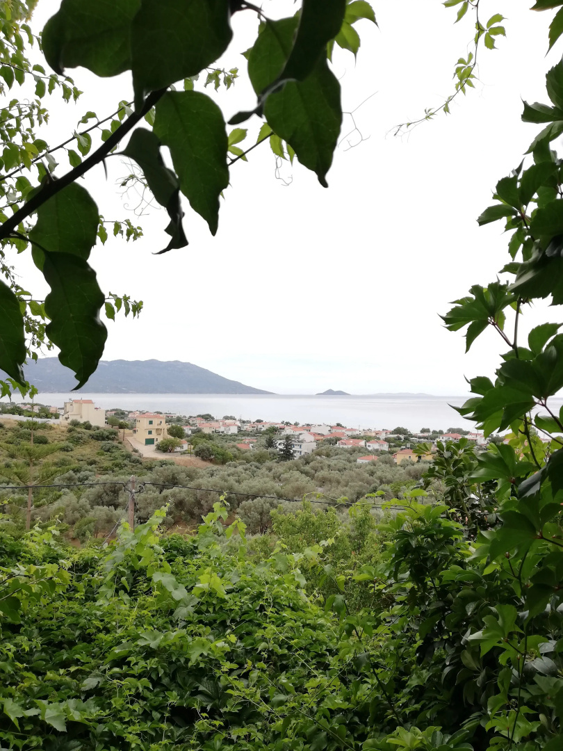 Villa Jota
