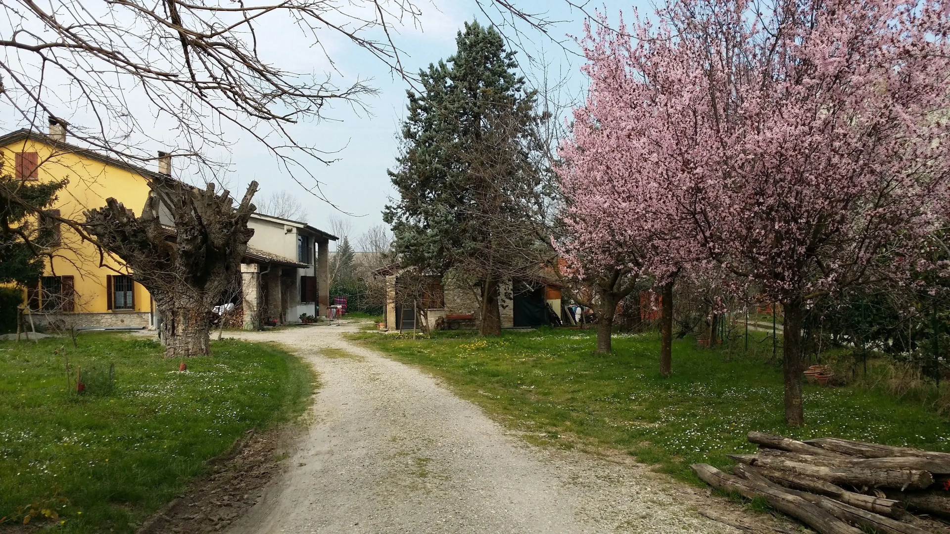 B&B L'Albero Cavo