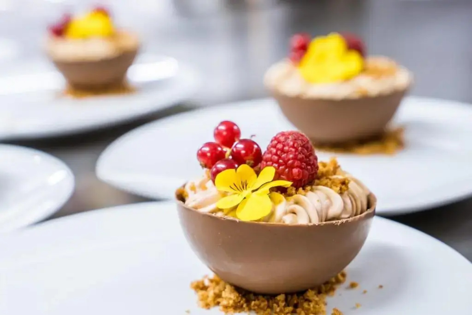 Les Pléiades Hôtel - Spa - Restaurant