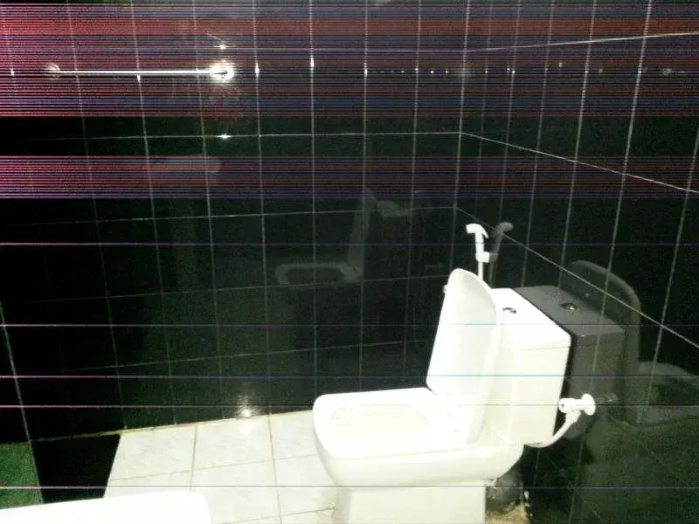 Triangle Holiday Inn