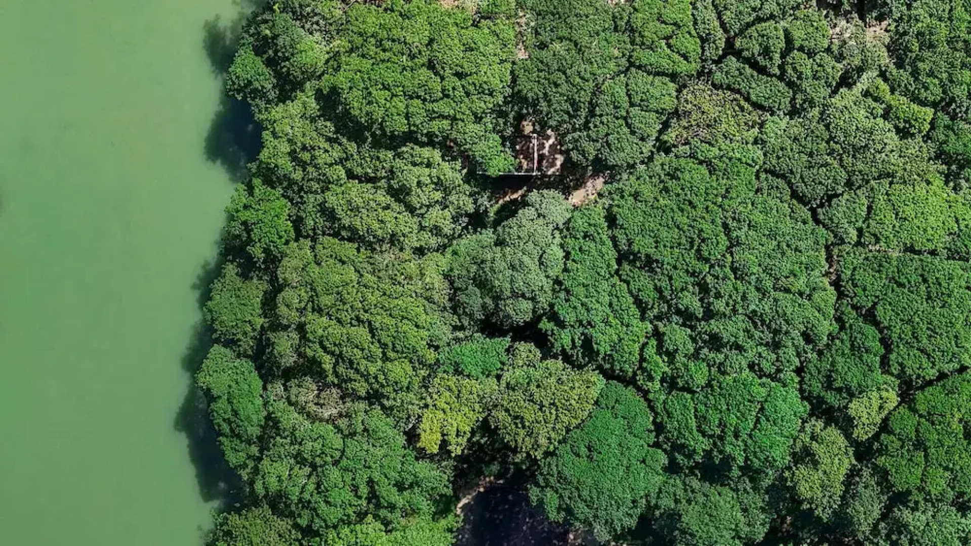 REFUGIO Sabaneta de Yásica