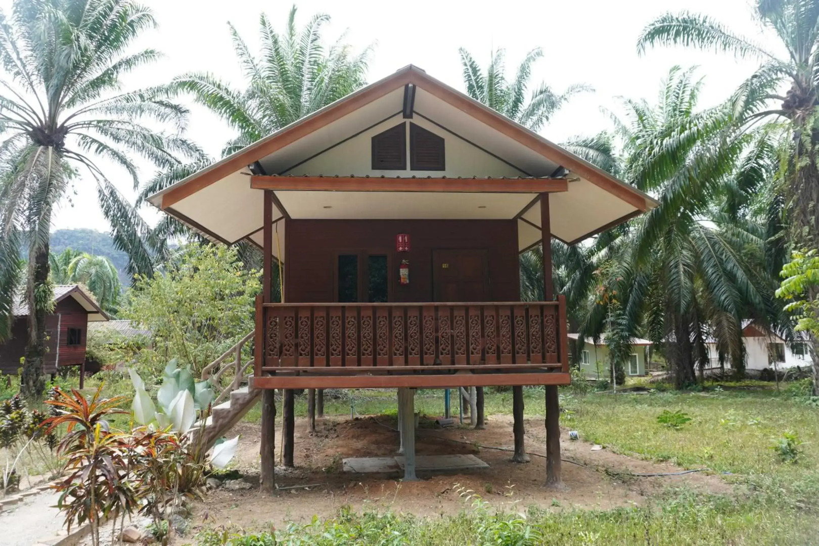 Khaosok Palmview