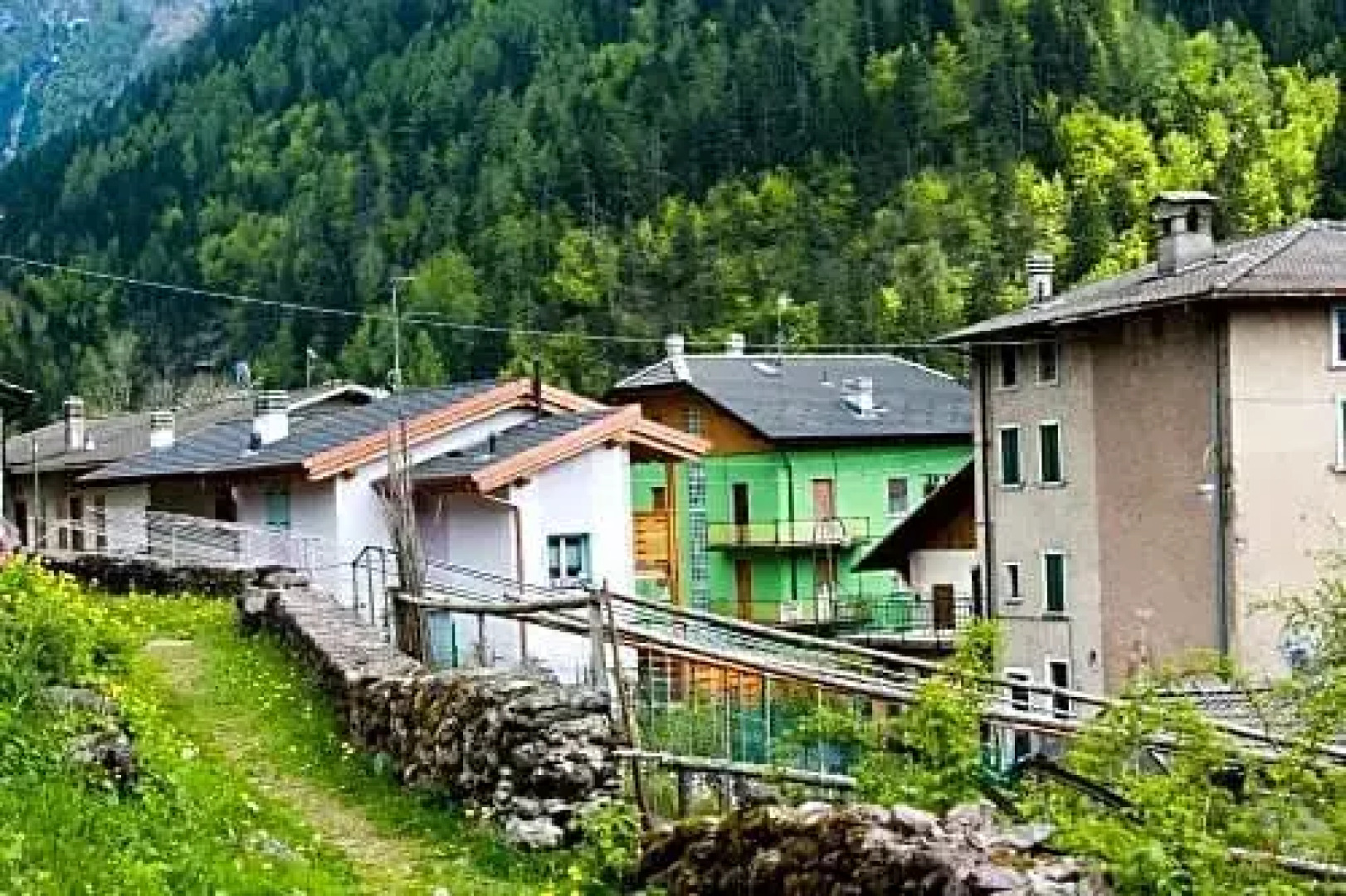 Il Bosco dei 100 Acri