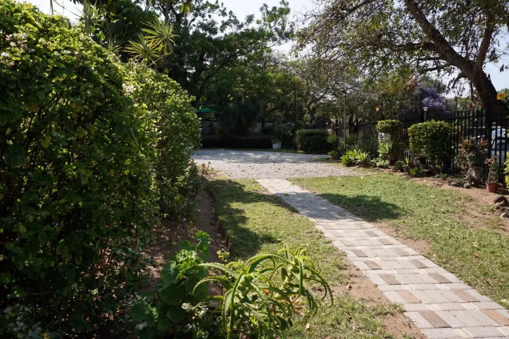 Sheba Rock Guest House