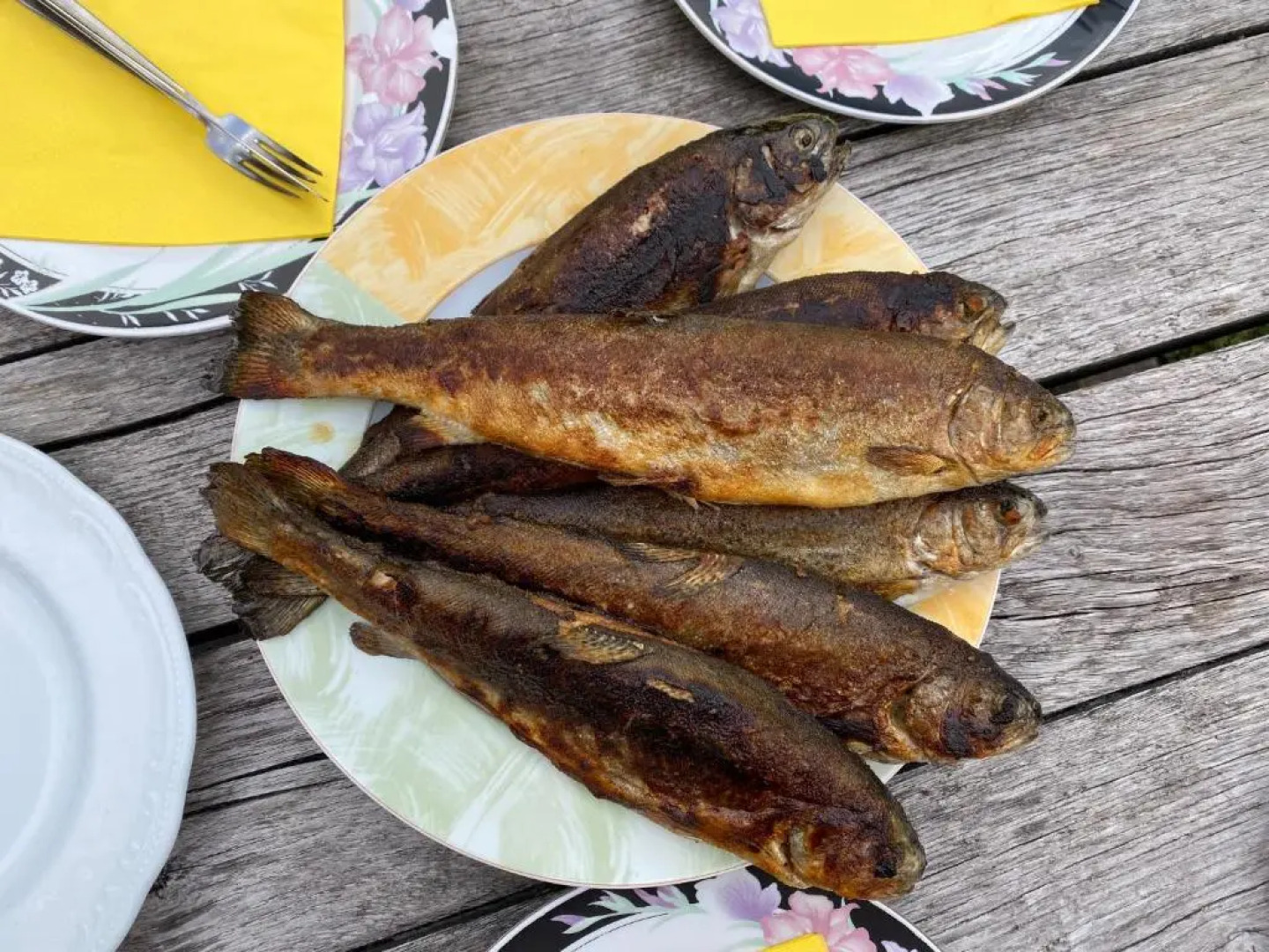 Domačija & Apartmaji Katrnjek