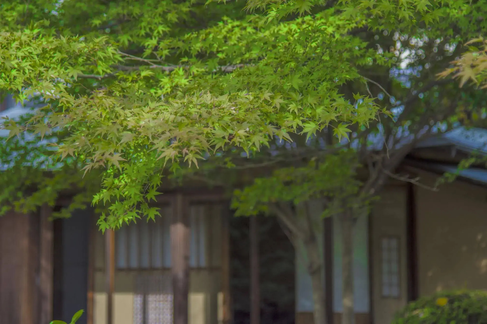 Utsunomiya Grand Hotel