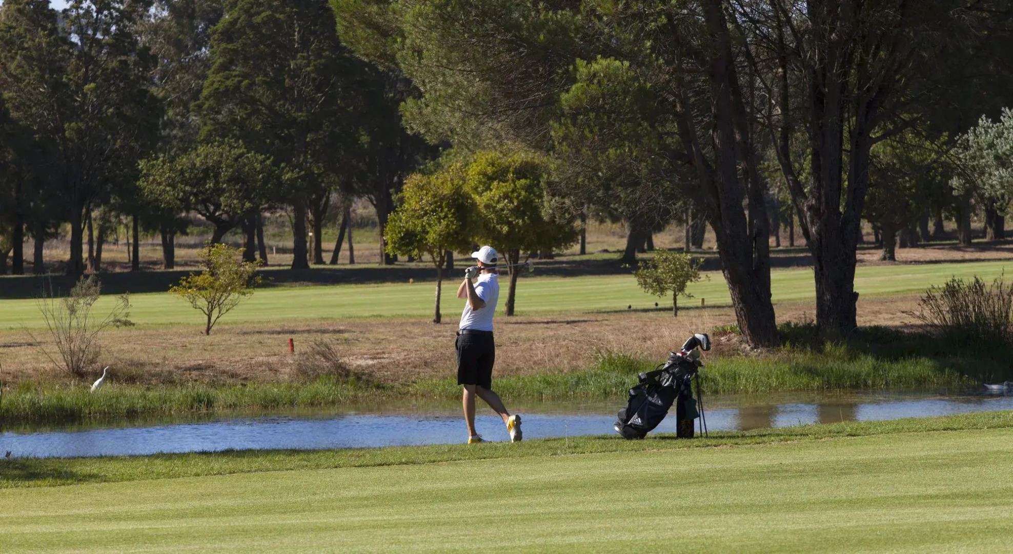 Devonvale Golf & Wine Estate