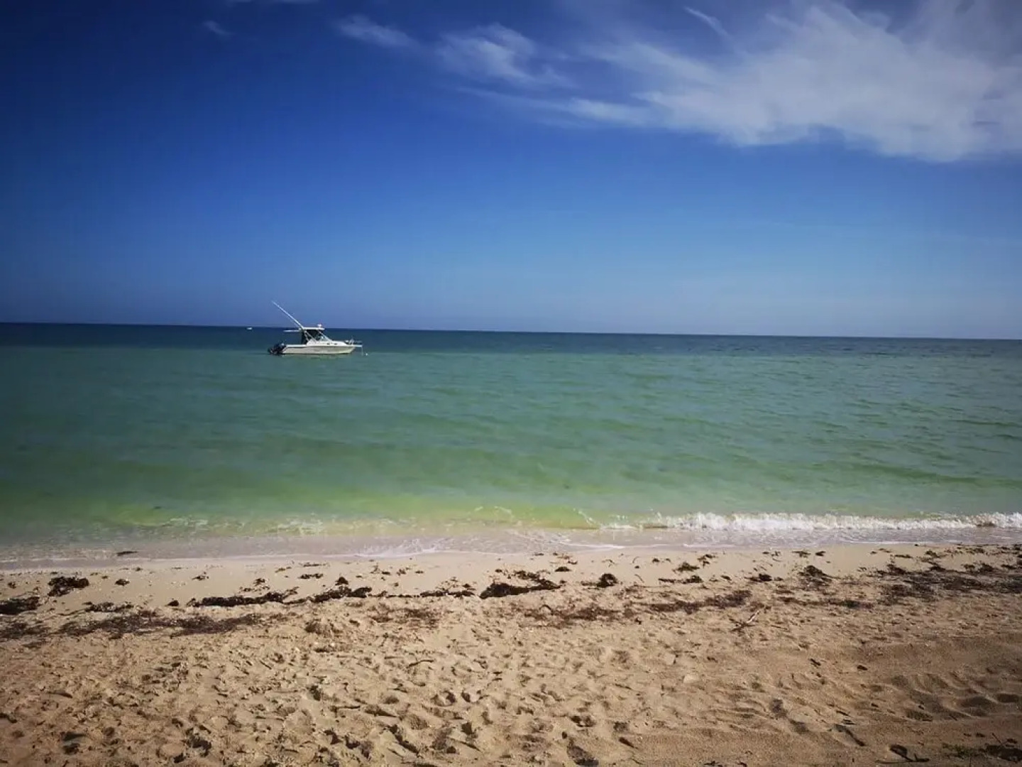 San Bruno Tropical Villa with Pool