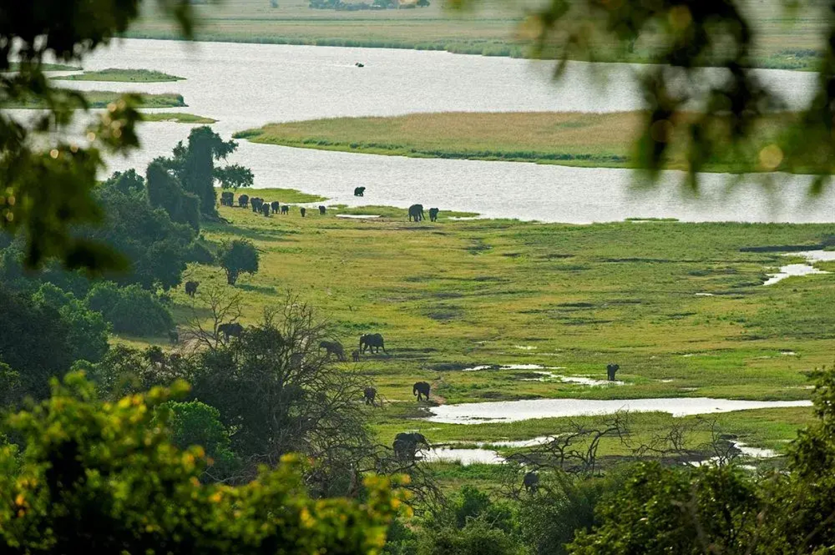 Sanctuary Chobe Chilwero