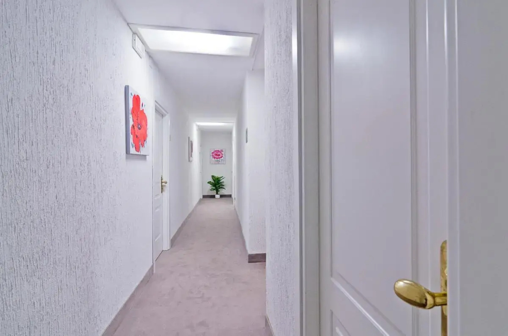 Hotel Ariston Montecarlo