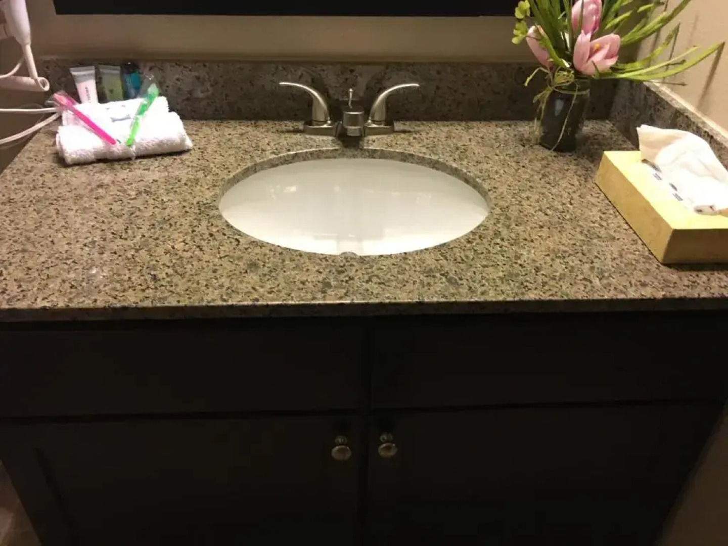 Resort Style Apartment/Home - The Woodlands