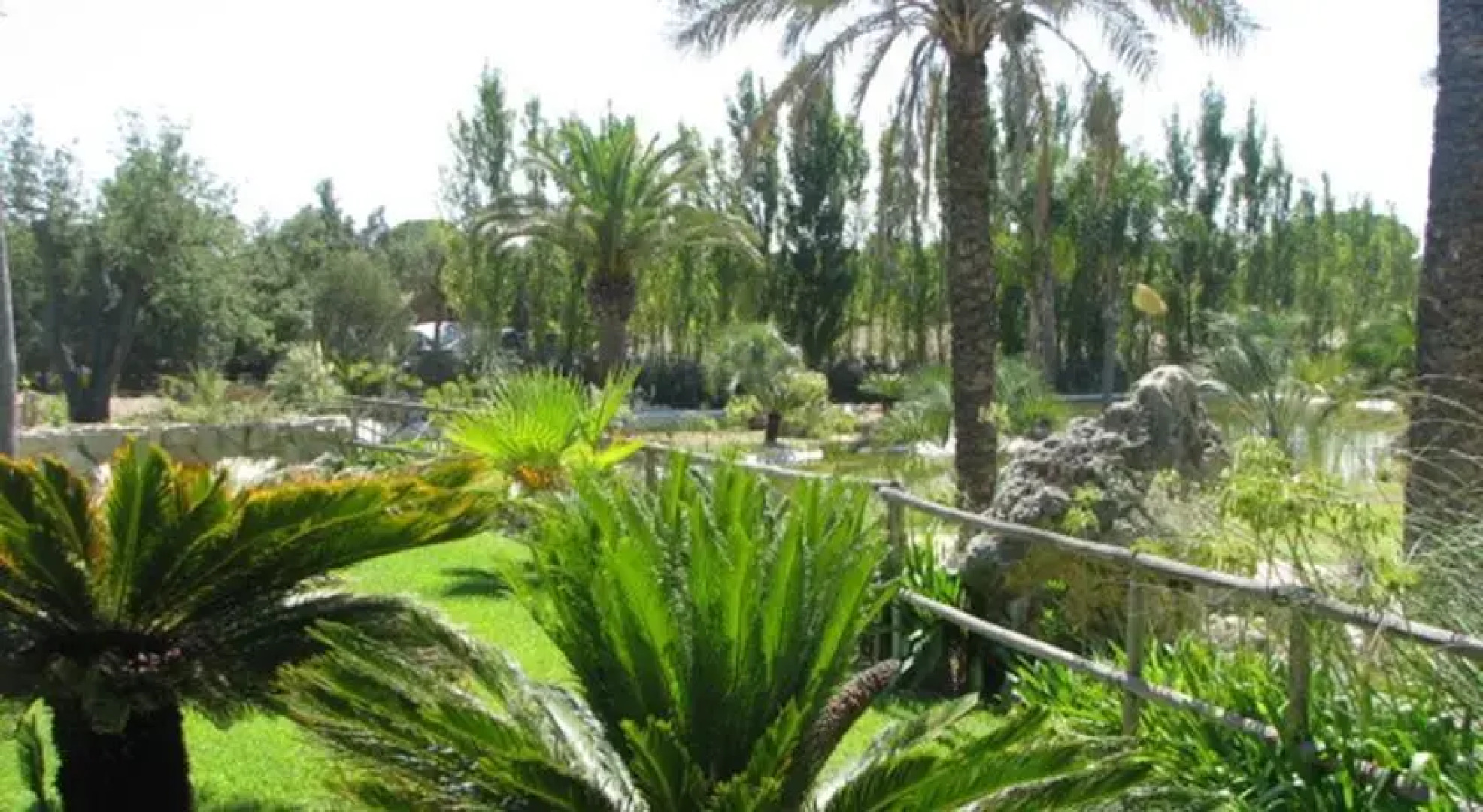 Quinta de São Pedro