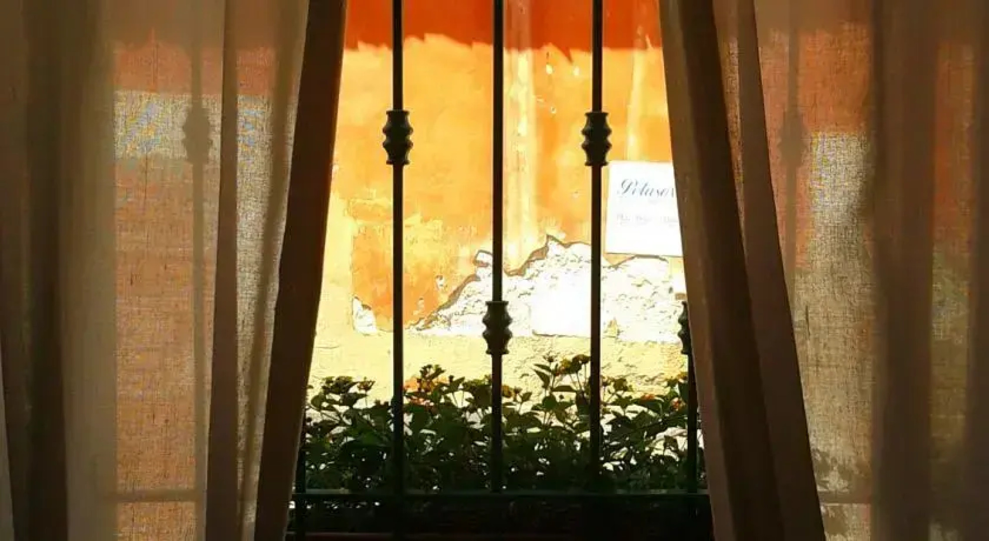 Bed&Breakfast Il Gelsomino