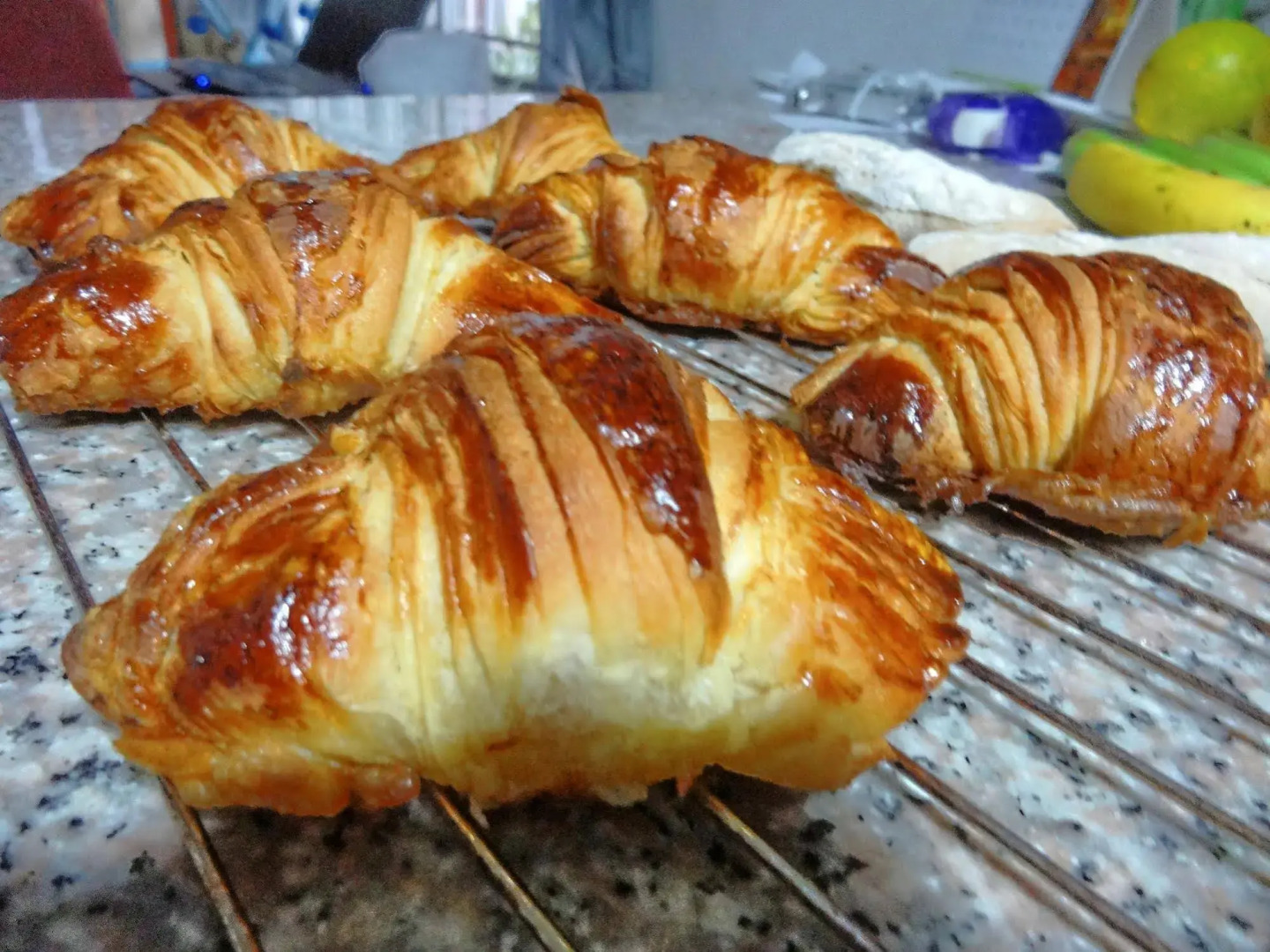 Villa Botero By Casa Mojito B&B