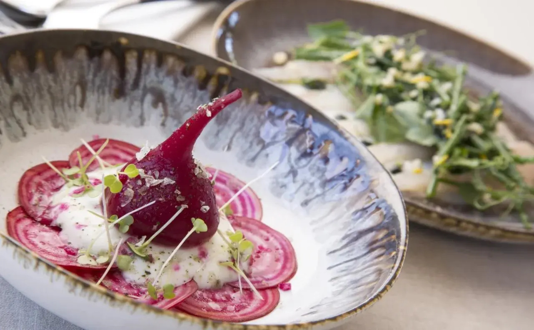 Sante Wellness Retreat & Spa