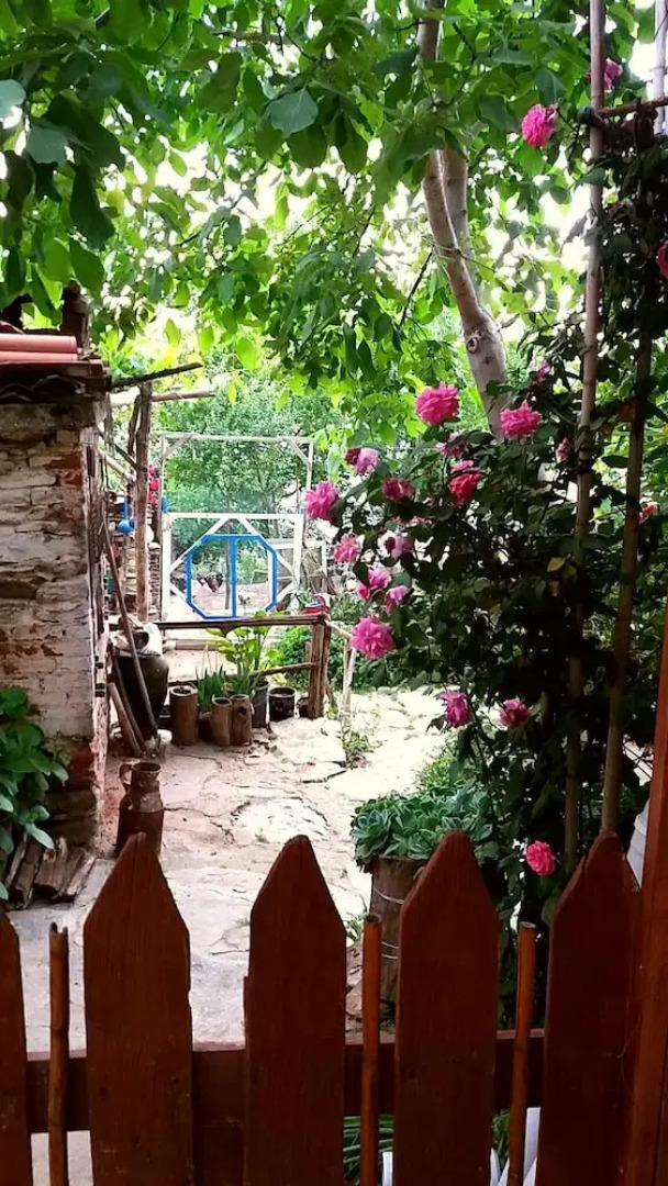 Kaplan Butik Pansiyon