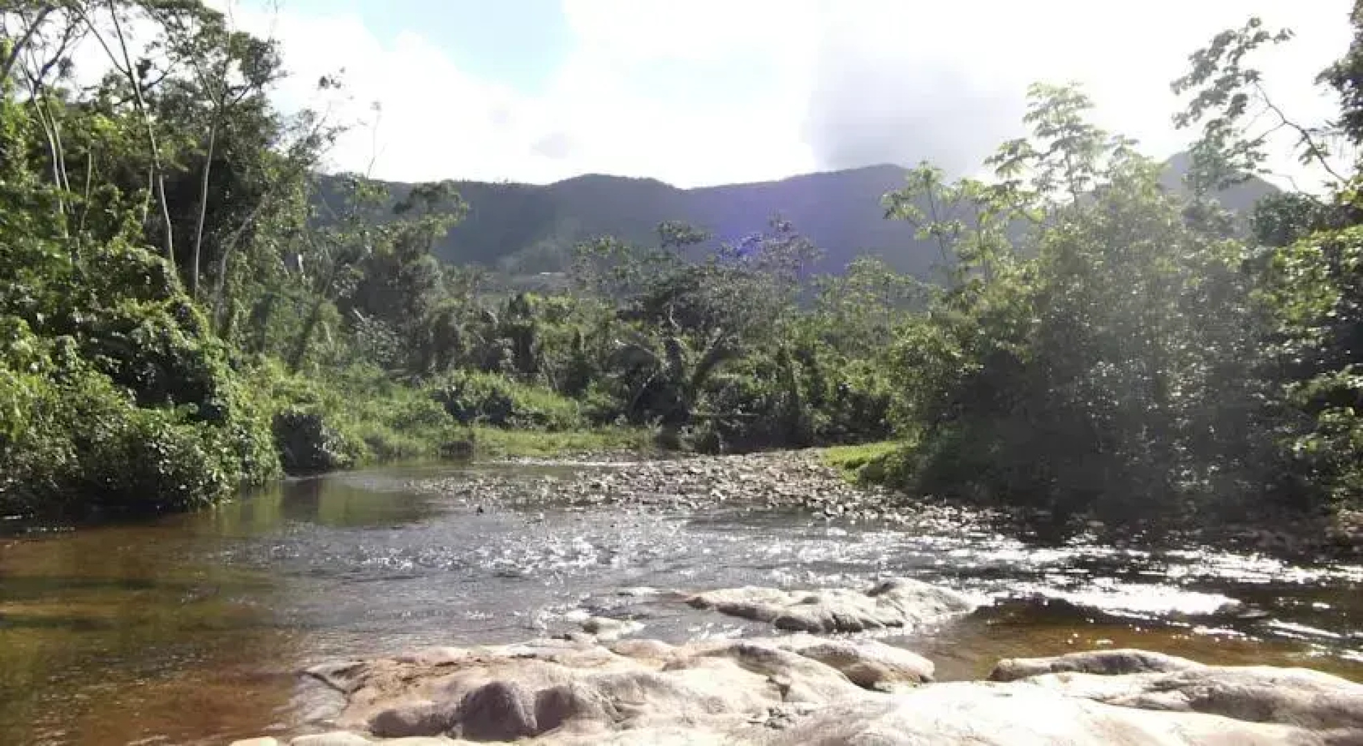 Hummingbird Guest Lodge & Hostel