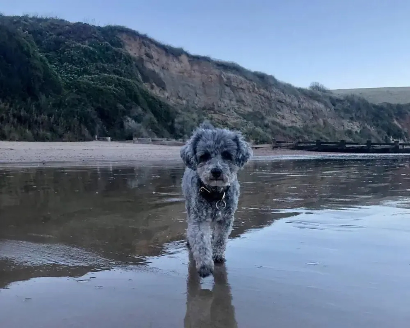 Remarkable and Spacious 4-bed Purbeck House