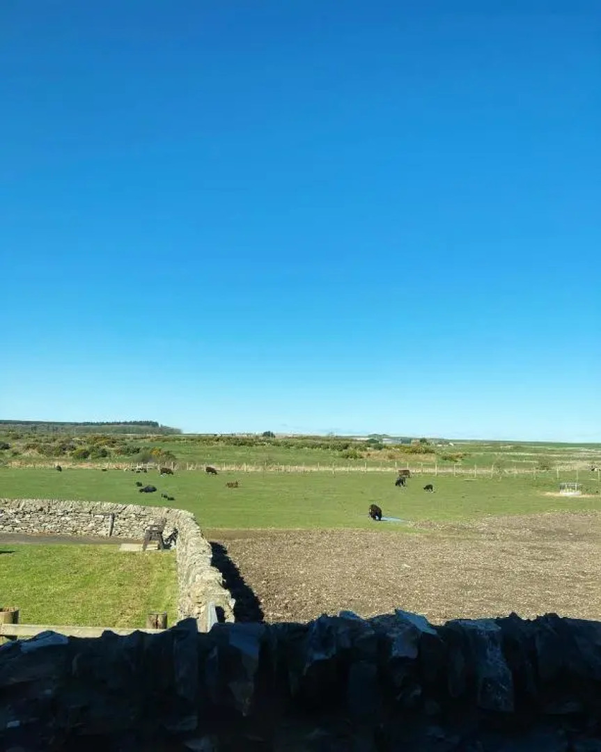 New Town hall Bunkhouse - Hostel