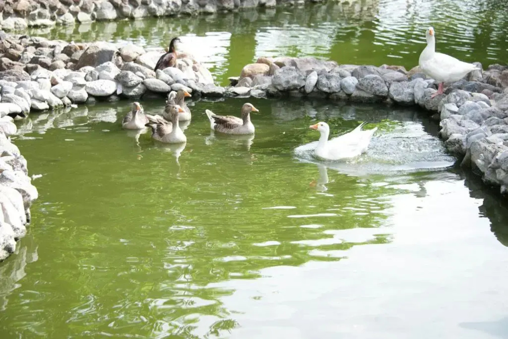 Hotel Hacienda Vista Hermosa