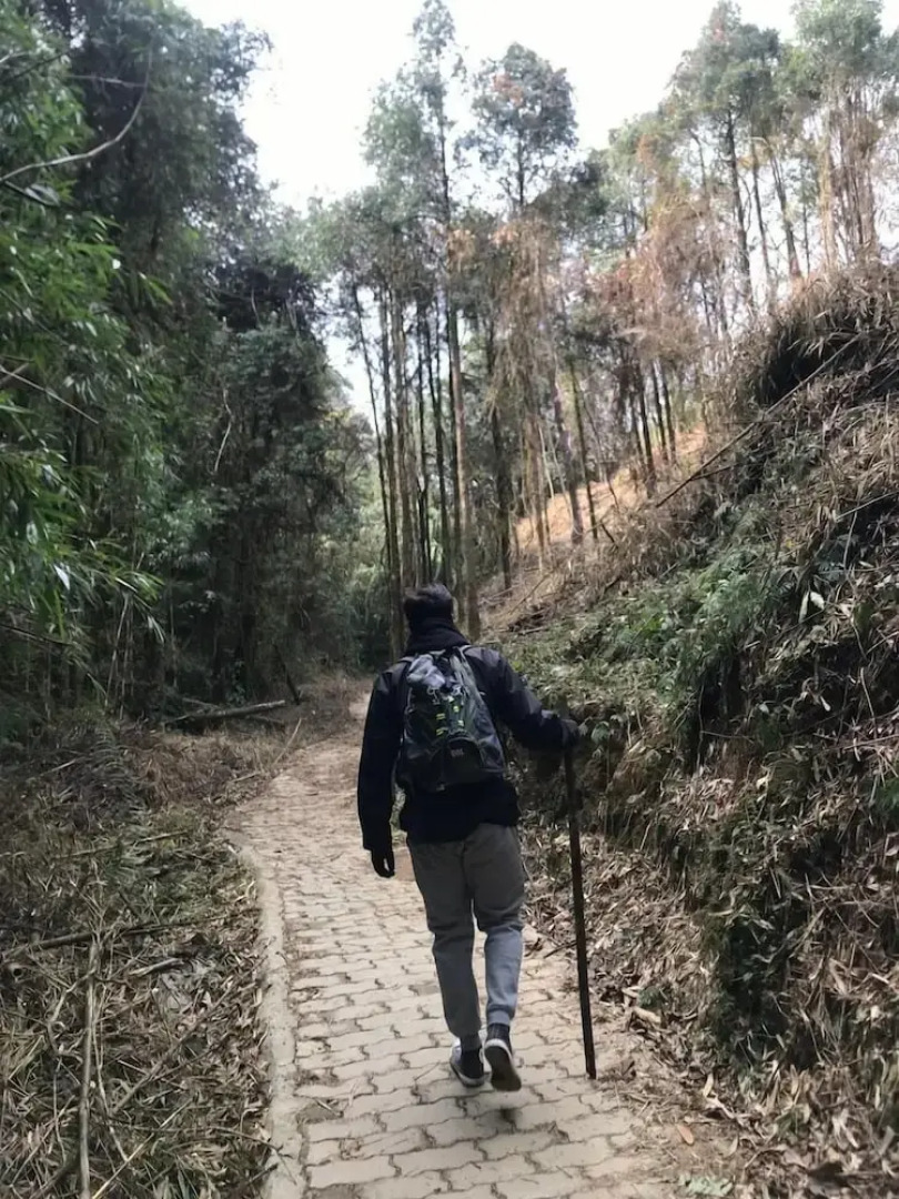 Taj Guras Kutir Resort & Spa, Gangtok
