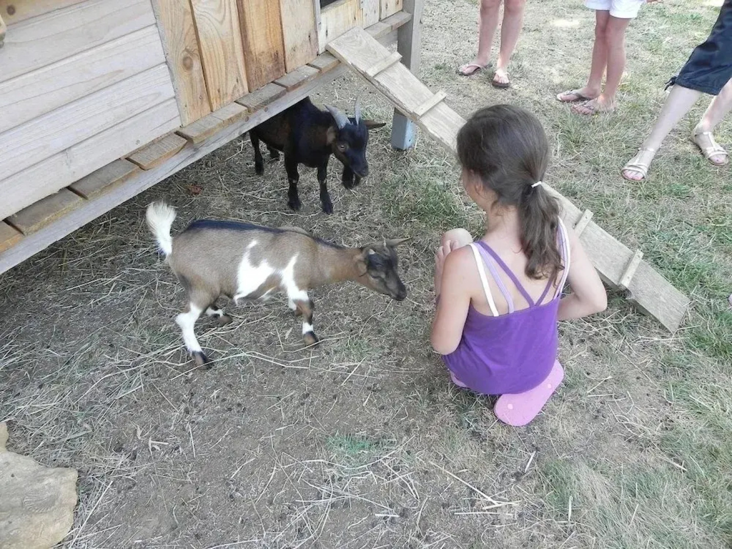 Eco Cottage L'Offrerie