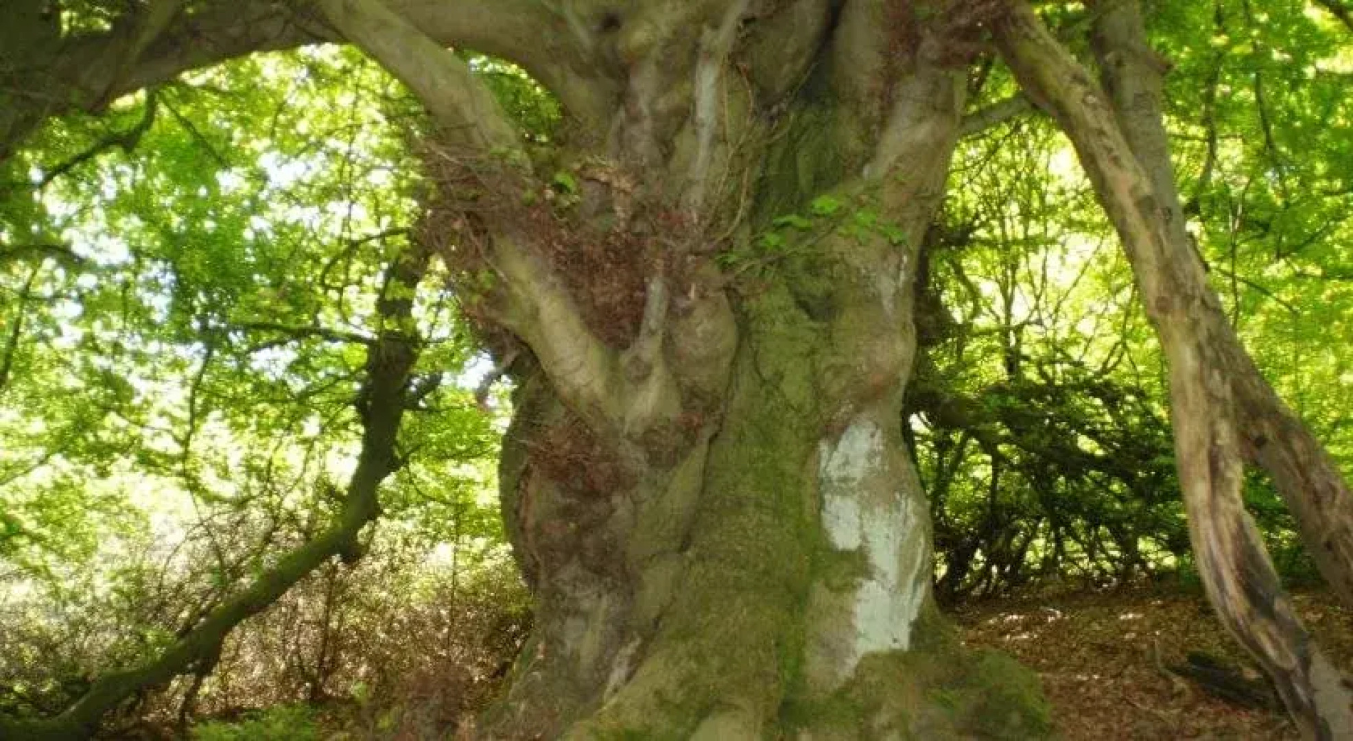 Ferienwohnung Pferdezentrum Edersee