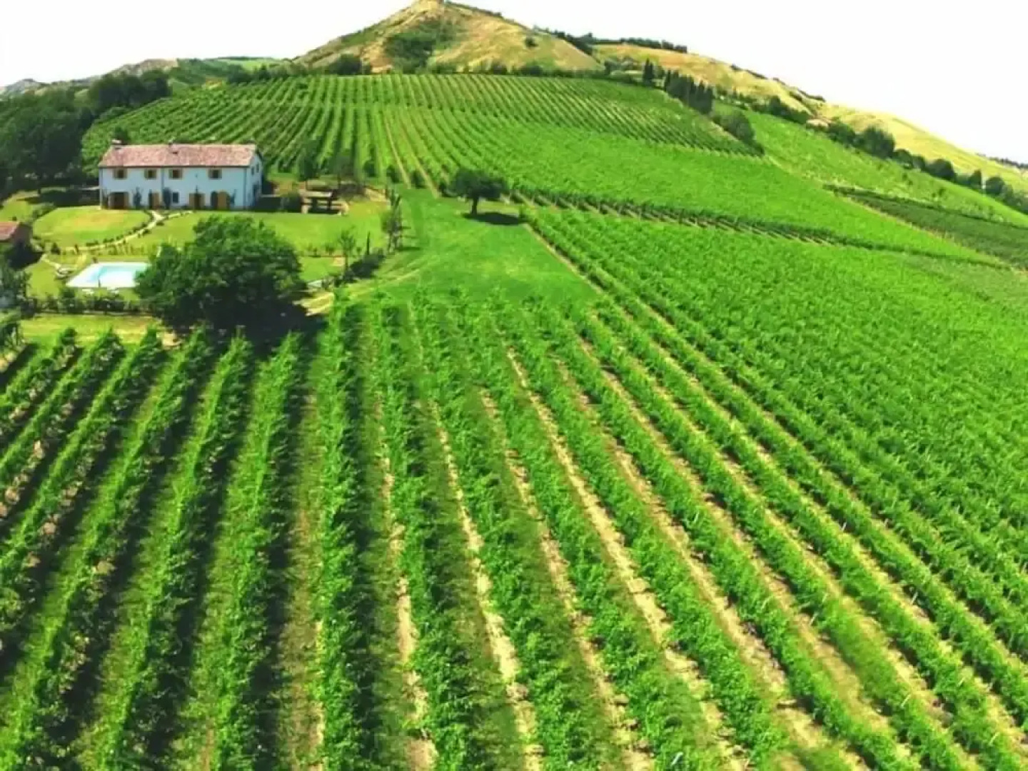 Verdidea - Podere la Casetta