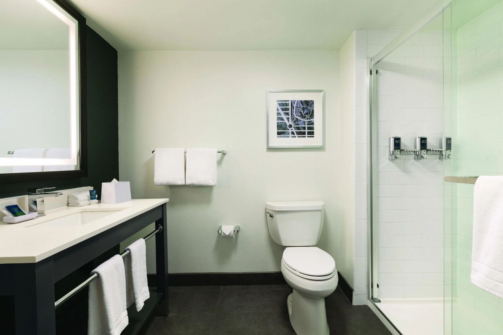 Four Points by Sheraton Raleigh Arena