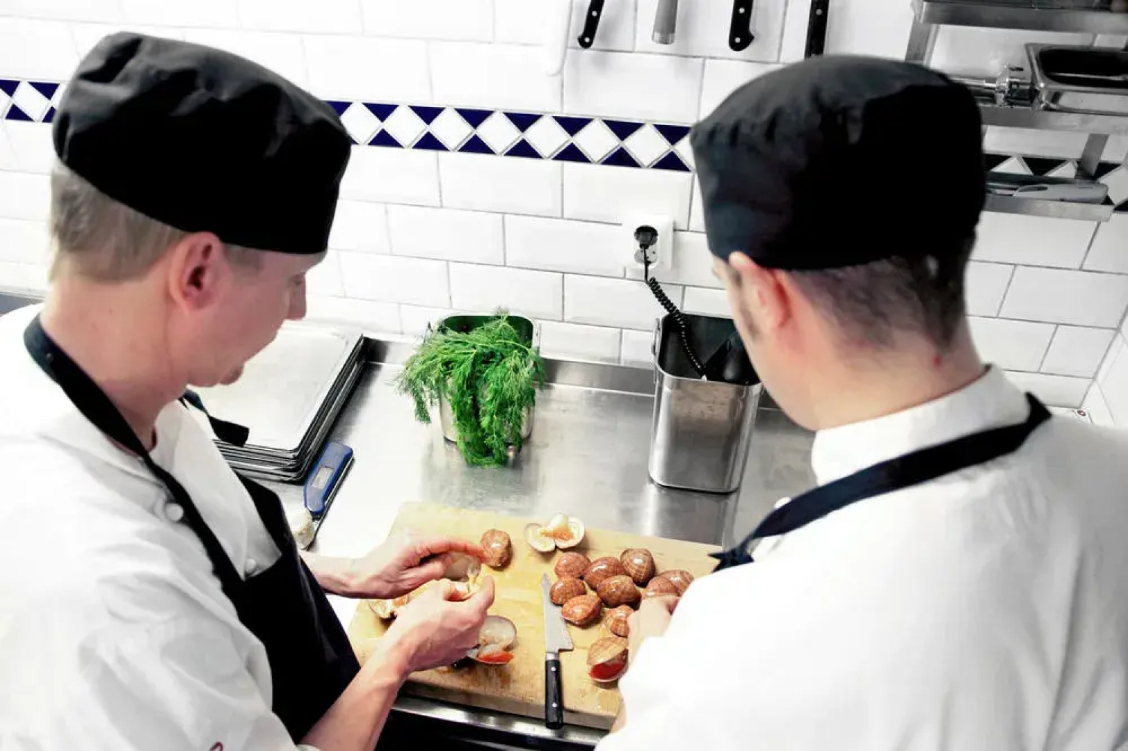 Albert Kök Hotell & Konferens